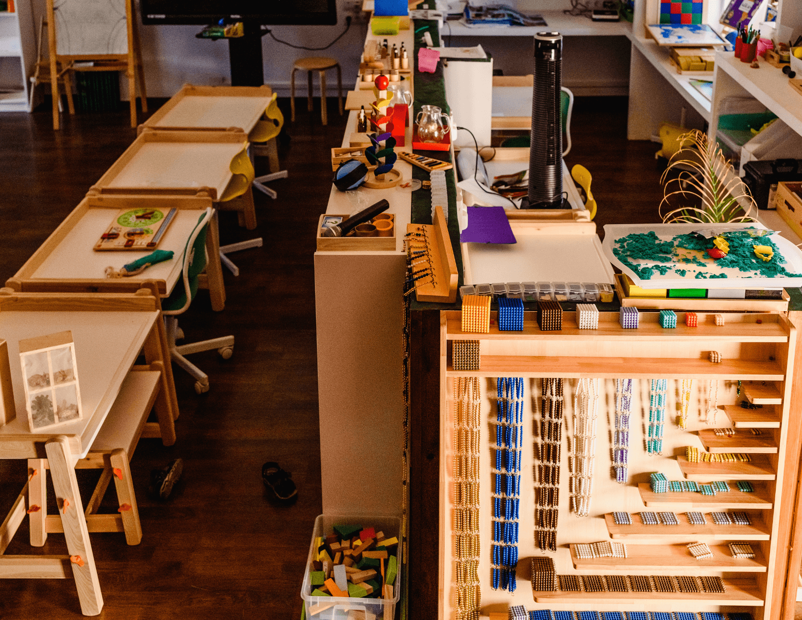 Dr. Amara Osei-Bonsu, Head of School