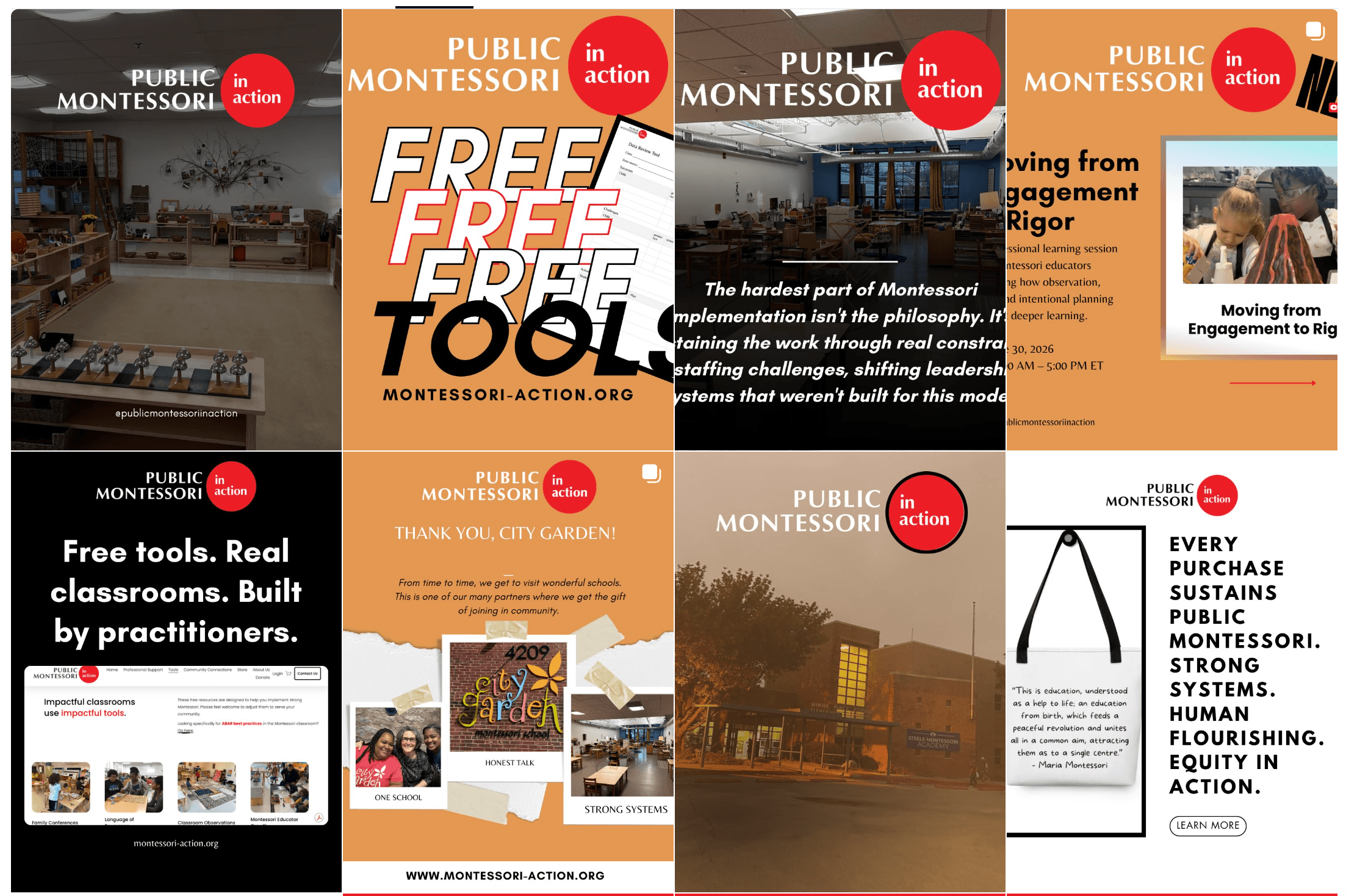 Public Montessori in Action